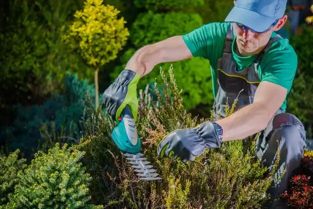 landscaping services Wantagh